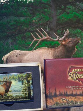 American Expedition Elk Stainless Steel Business Card Holder NEW Hunting